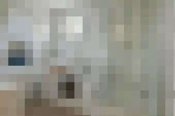 Ooievaarsbek 40 Breukelen thumbnail 15