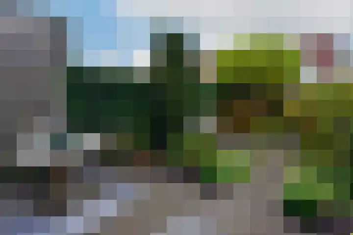 Ooievaarsbek 40 Breukelen thumbnail 20