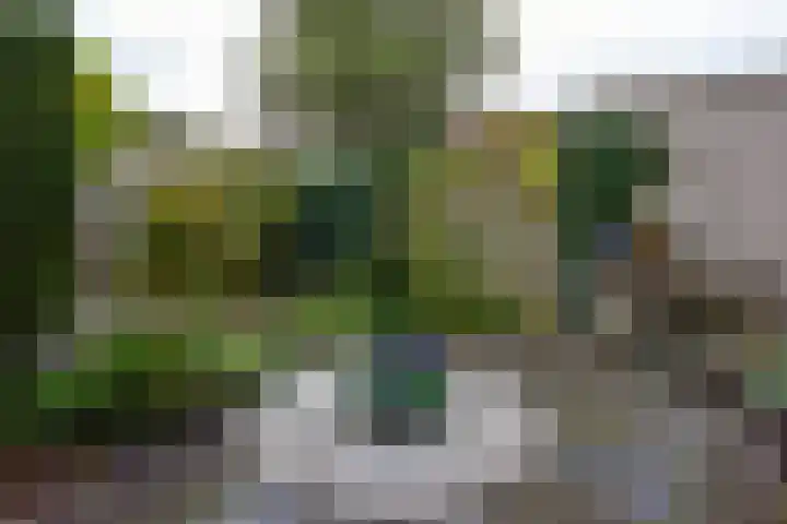 Ooievaarsbek 40 Breukelen thumbnail 21