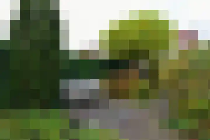 Ooievaarsbek 40 Breukelen thumbnail 22