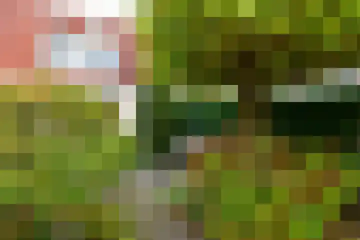 Ooievaarsbek 40 Breukelen thumbnail 24
