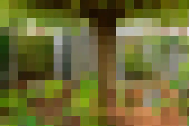 Ooievaarsbek 40 Breukelen thumbnail 25