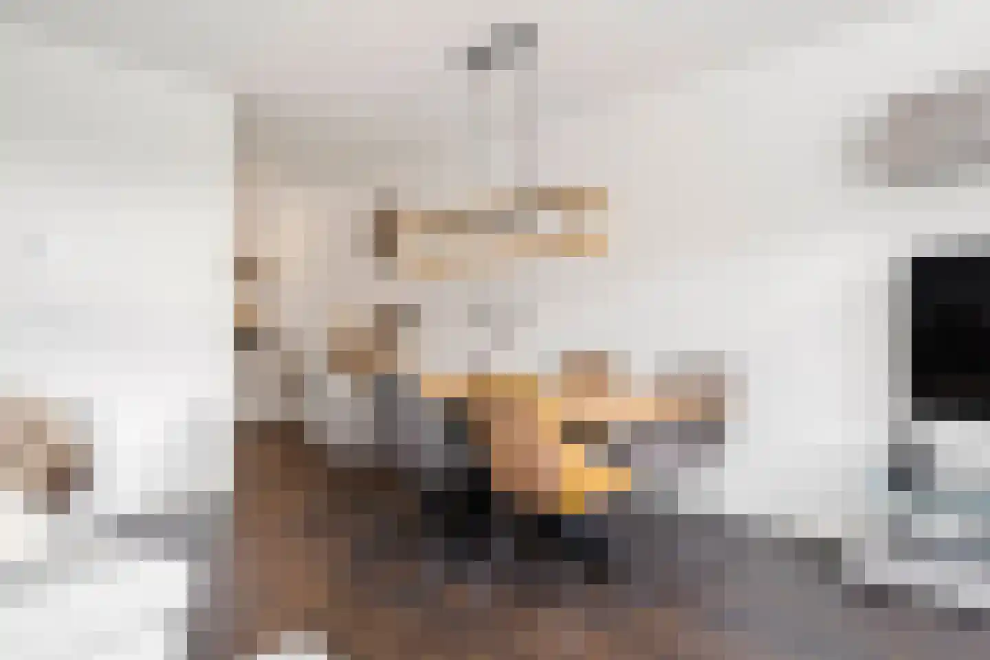 Ooievaarsbek 52 Bennekom thumbnail 15