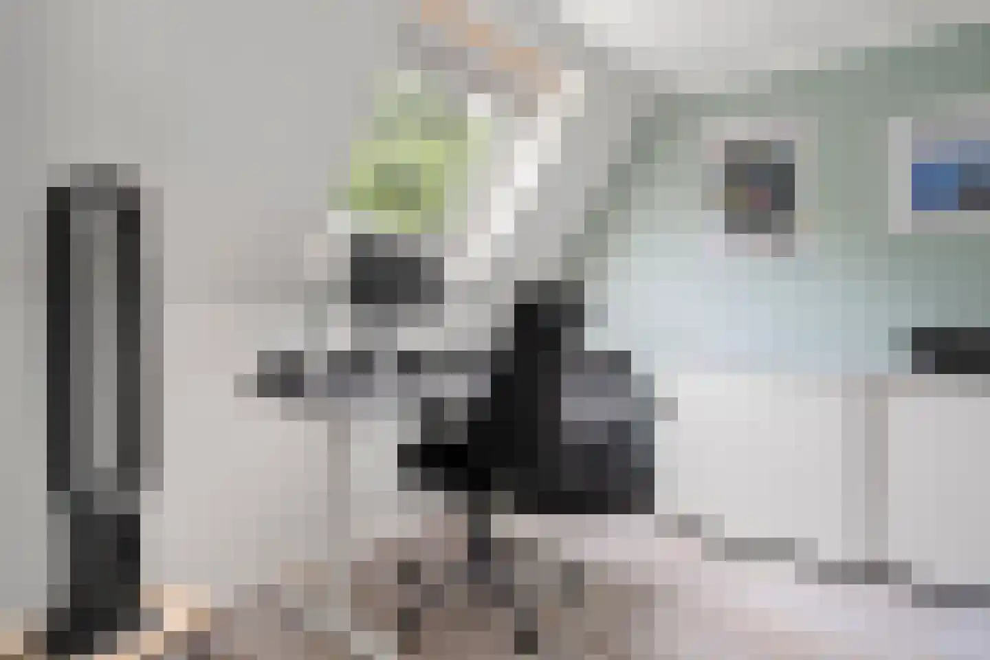 Ooievaarsbek 52 Bennekom thumbnail 33