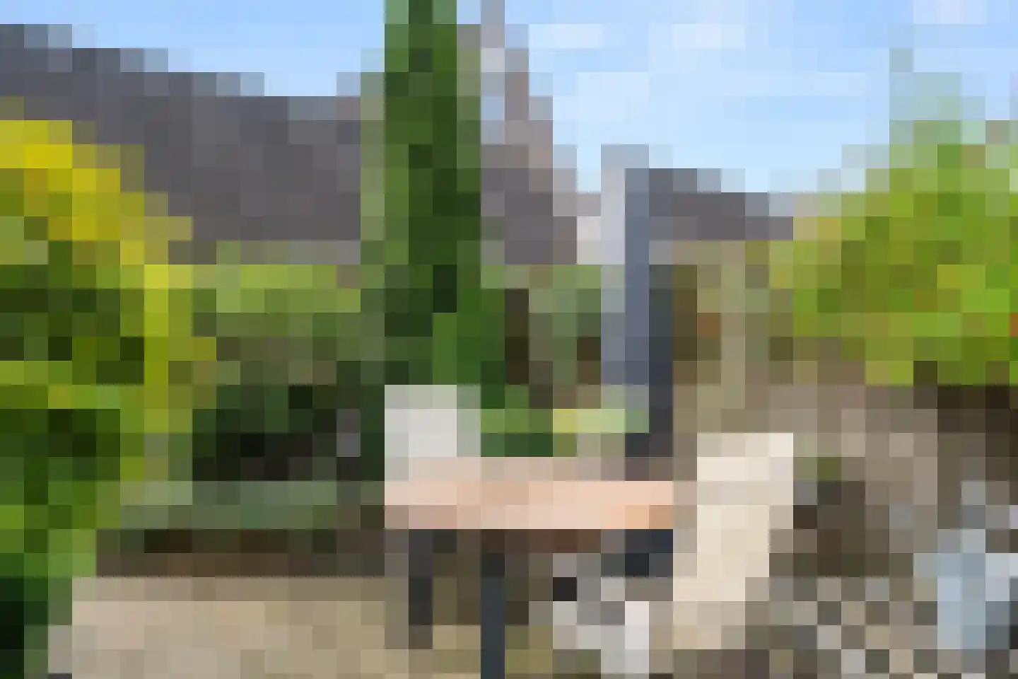 Ooievaarsbek 52 Bennekom thumbnail 5