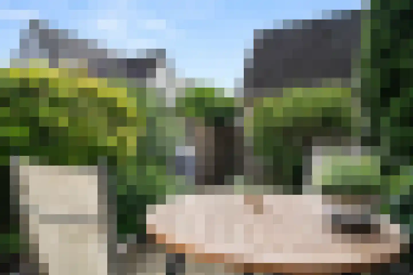 Ooievaarsbek 52 Bennekom thumbnail 6