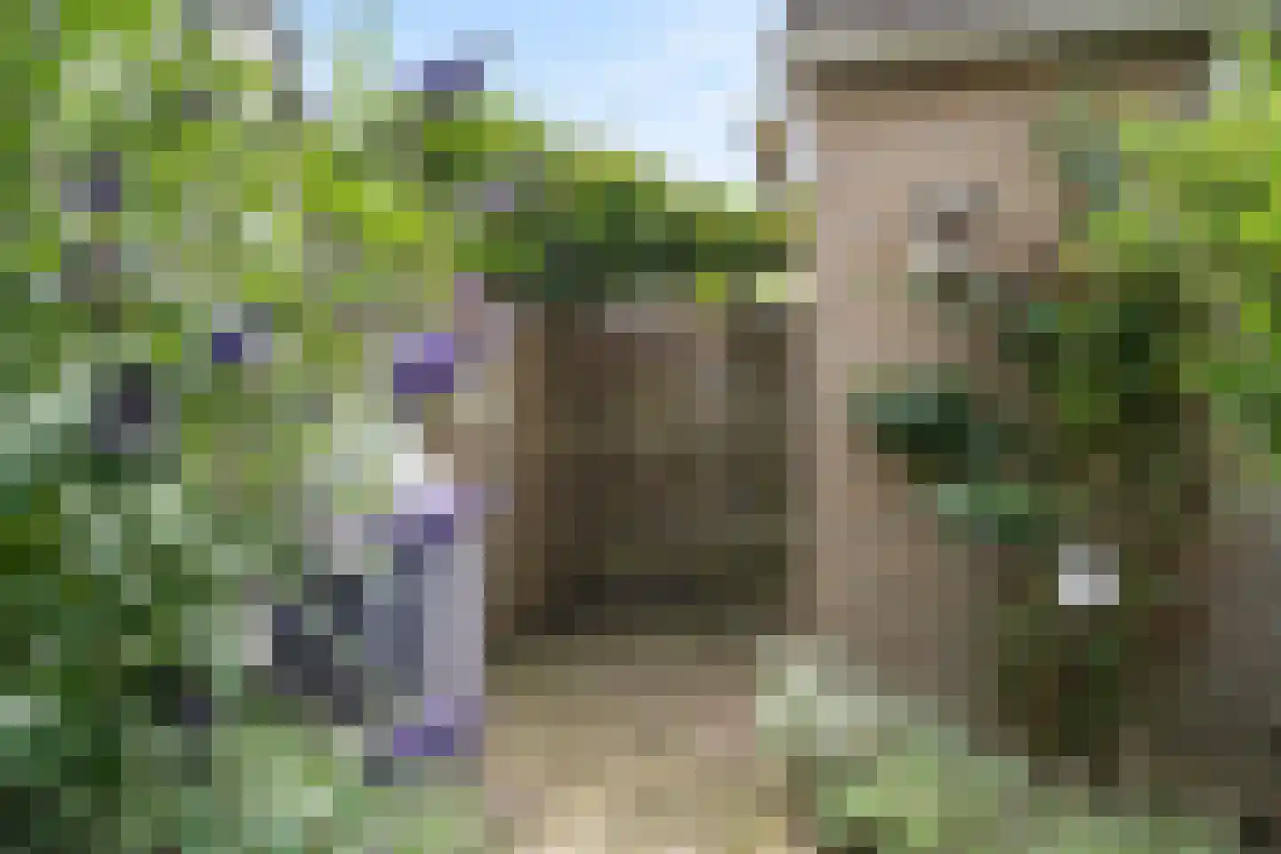 Ooievaarsbek 52 Bennekom thumbnail 7