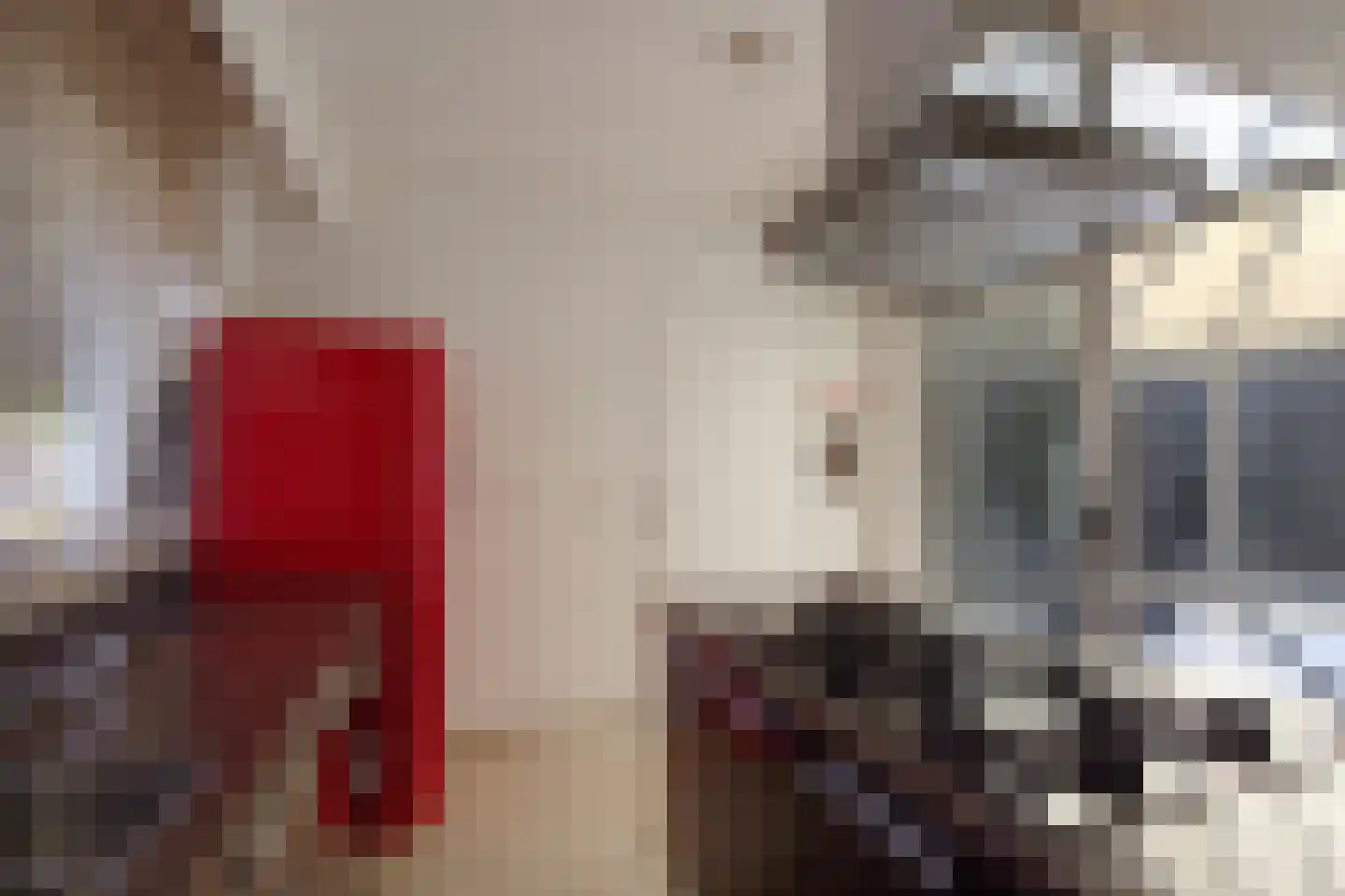 Ooievaarshoek 12 Hilvarenbeek thumbnail 13
