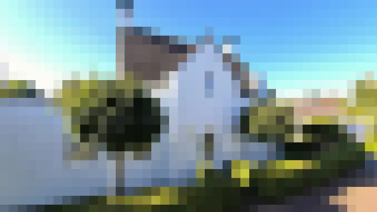 Ooievaarshoek 12 Hilvarenbeek foto 3