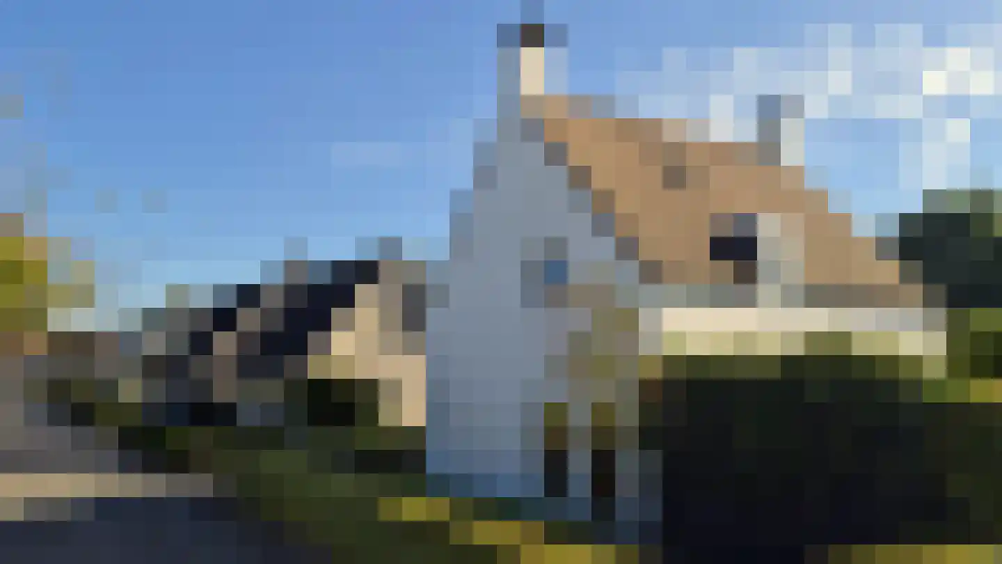Ooievaarshoek 12 Hilvarenbeek thumbnail 35