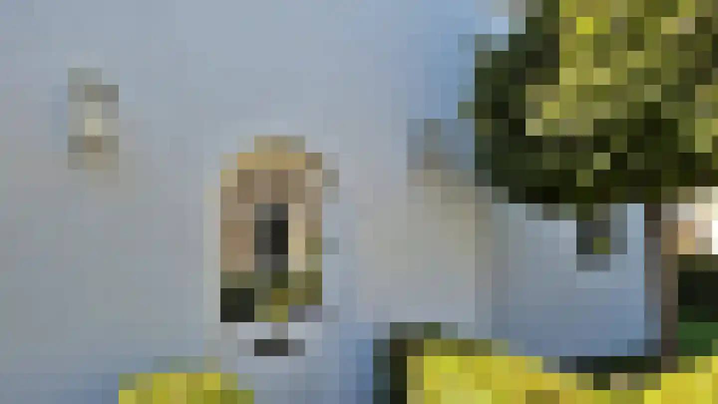 Ooievaarshoek 12 Hilvarenbeek thumbnail 37