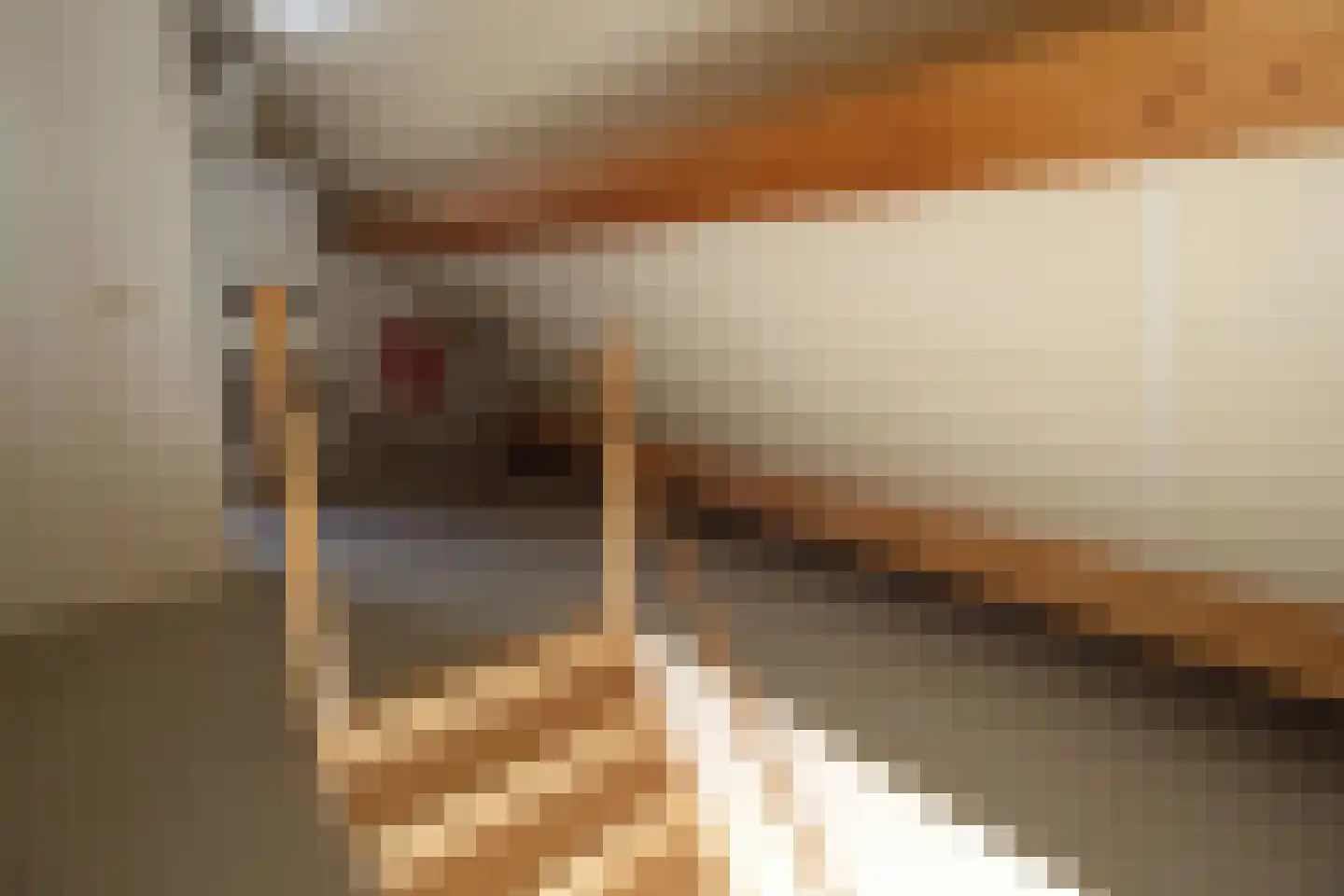Ooievaarshoek 13 Hilvarenbeek thumbnail 35