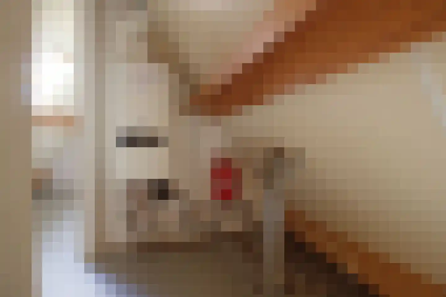 Ooievaarshoek 13 Hilvarenbeek thumbnail 38