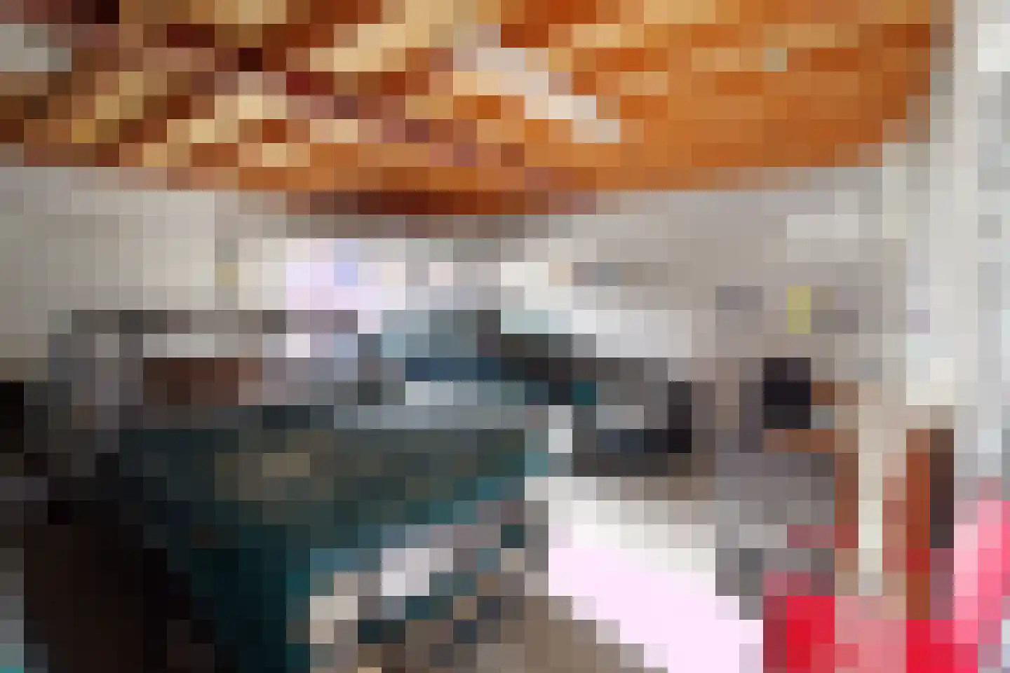 Ooievaarshoek 13 Hilvarenbeek thumbnail 4