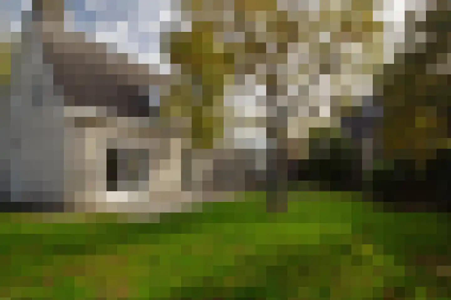 Ooievaarshoek 13 Hilvarenbeek thumbnail 40