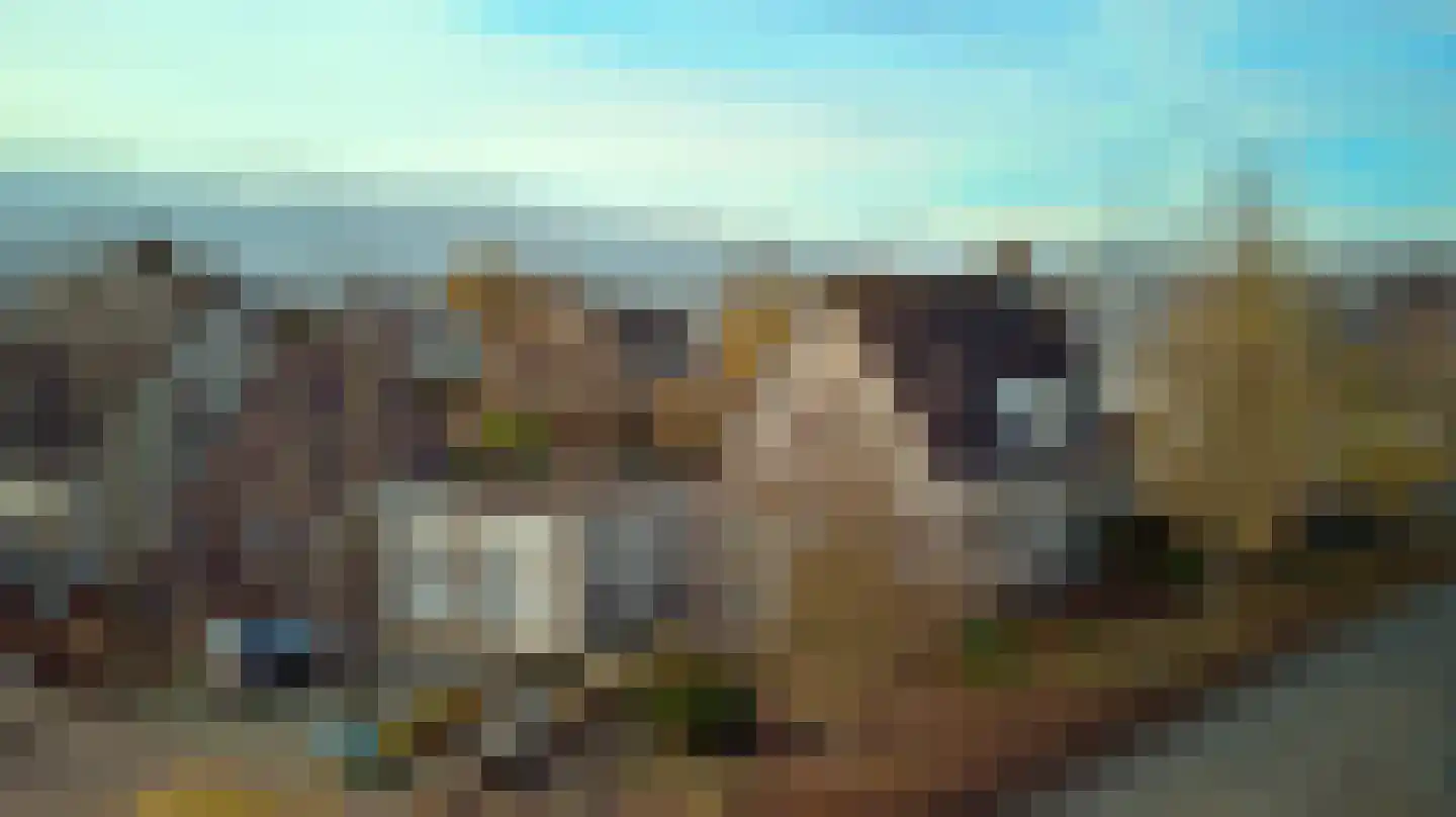 Ooievaarshoek 13 Hilvarenbeek thumbnail 51