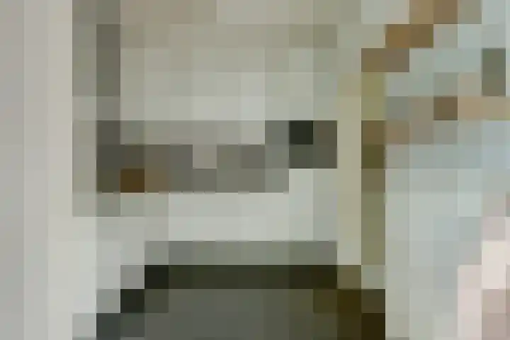 Ooievaarshoek 31 Hilvarenbeek thumbnail 12