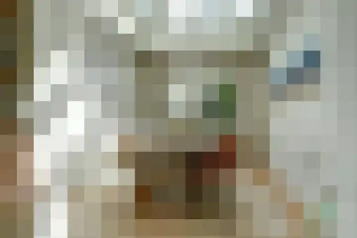 Ooievaarshoek 31 Hilvarenbeek thumbnail 15