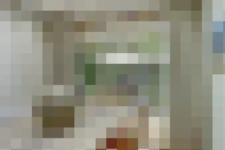 Ooievaarshoek 31 Hilvarenbeek thumbnail 16