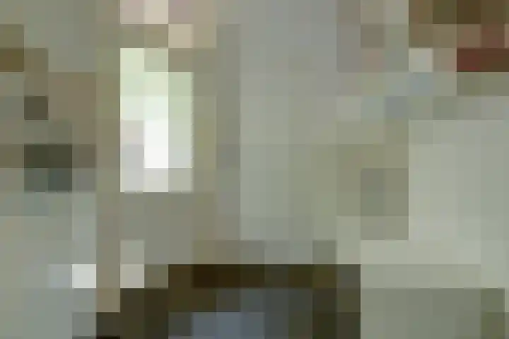 Ooievaarshoek 31 Hilvarenbeek thumbnail 17