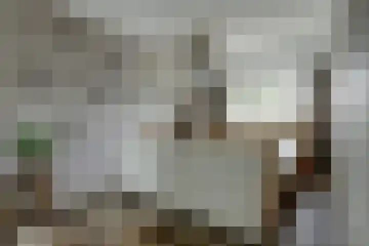 Ooievaarshoek 31 Hilvarenbeek thumbnail 21