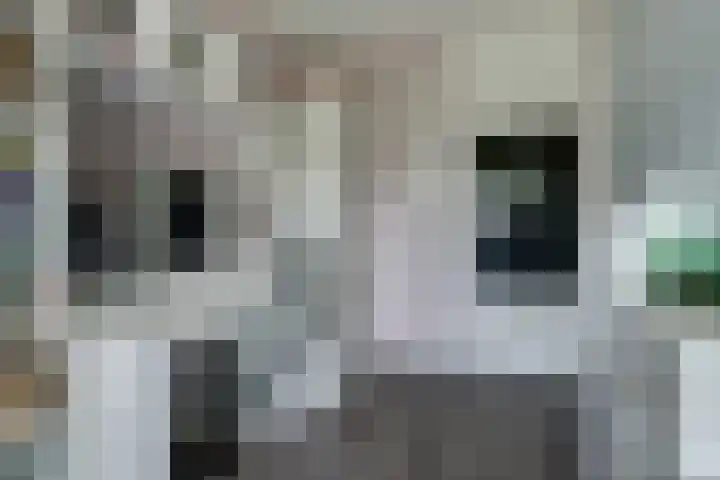 Ooievaarshoek 31 Hilvarenbeek thumbnail 26