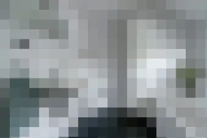 Ooievaarshoek 31 Hilvarenbeek thumbnail 28