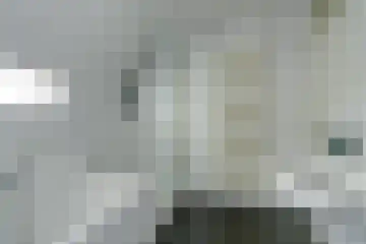 Ooievaarshoek 31 Hilvarenbeek thumbnail 29