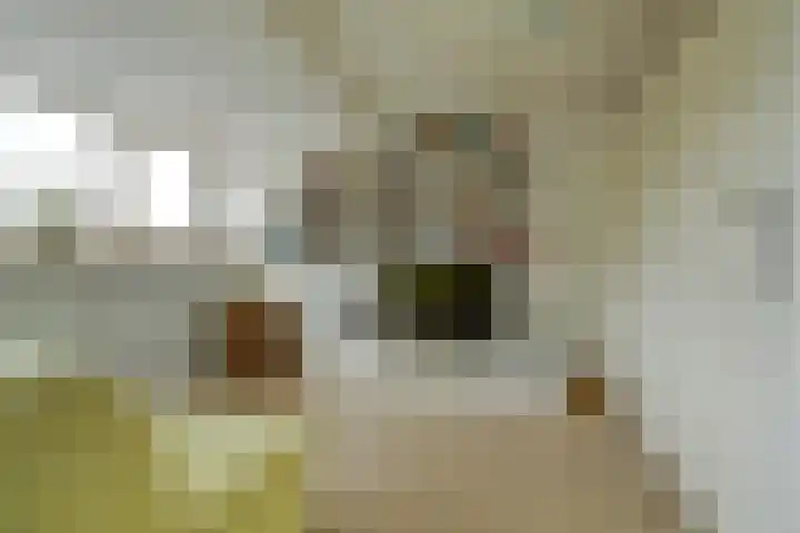 Ooievaarshoek 31 Hilvarenbeek thumbnail 31
