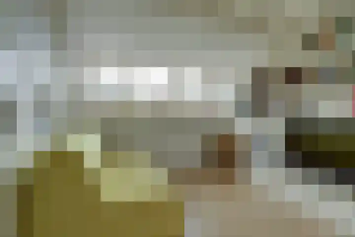 Ooievaarshoek 31 Hilvarenbeek thumbnail 32