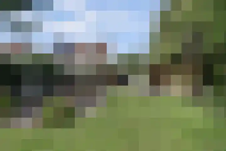 Ooievaarshoek 31 Hilvarenbeek thumbnail 33