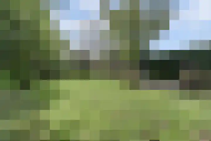 Ooievaarshoek 31 Hilvarenbeek thumbnail 34