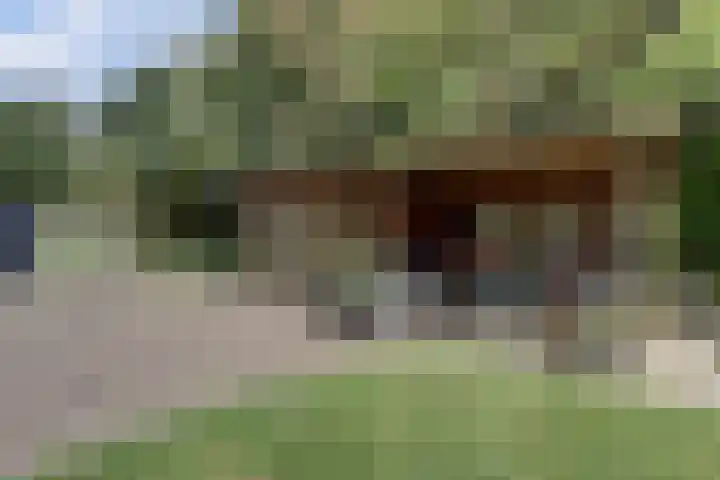 Ooievaarshoek 31 Hilvarenbeek thumbnail 36