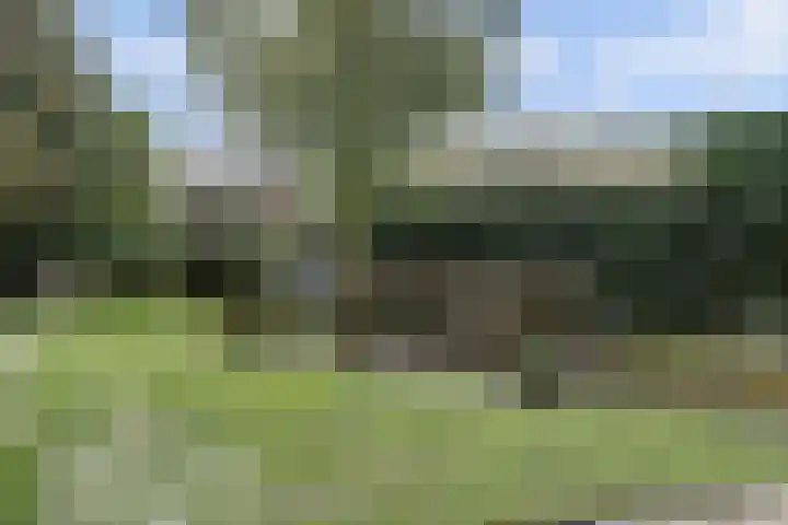 Ooievaarshoek 31 Hilvarenbeek thumbnail 38