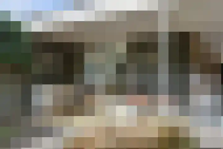 Ooievaarshoek 31 Hilvarenbeek thumbnail 39