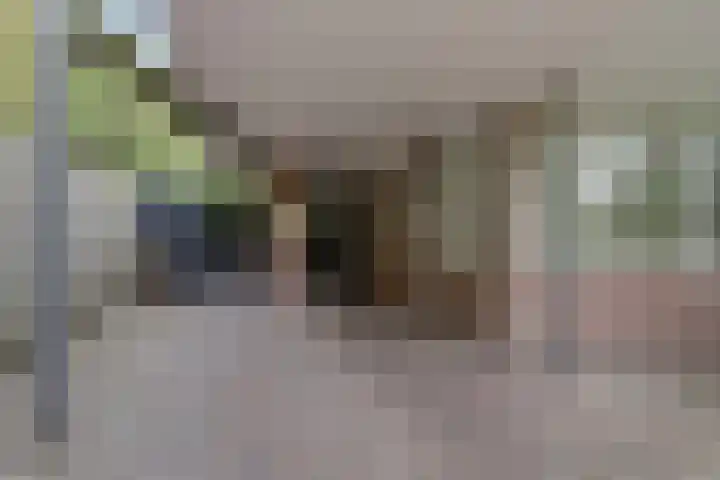 Ooievaarshoek 31 Hilvarenbeek thumbnail 4