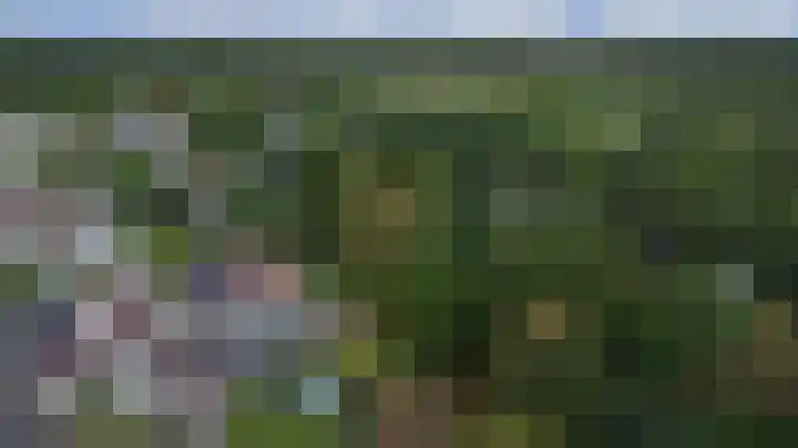 Ooievaarshoek 31 Hilvarenbeek thumbnail 41