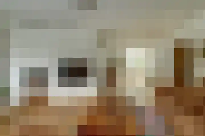 Ooievaarshoek 31 Hilvarenbeek thumbnail 9