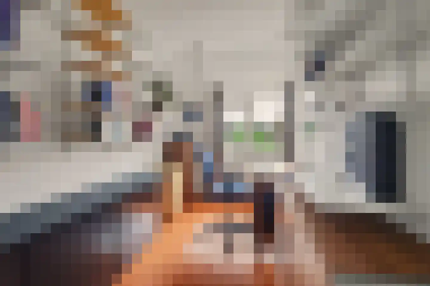 Ooievaarshoek 37 Hilvarenbeek thumbnail 21