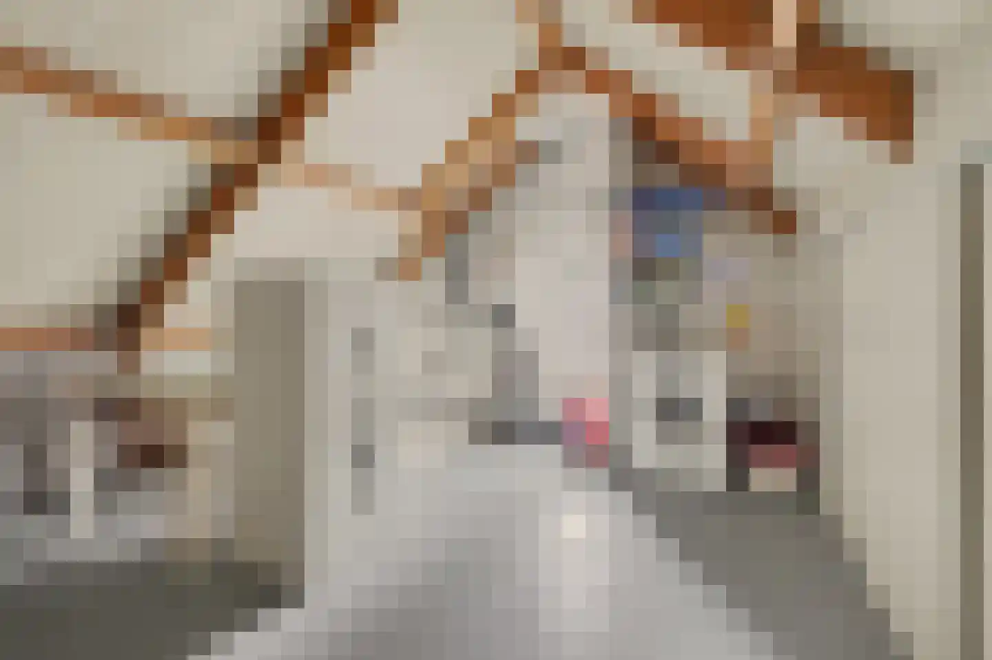 Ooievaarshoek 37 Hilvarenbeek thumbnail 28