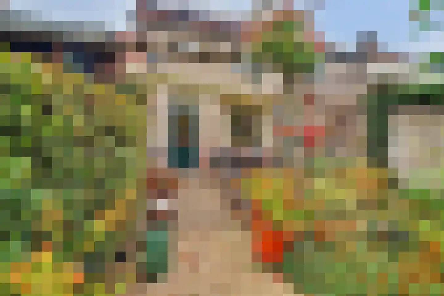 Ooievaarshoek 37 Hilvarenbeek thumbnail 30