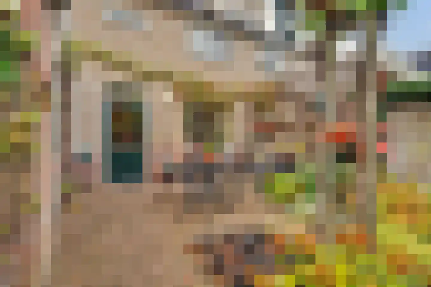 Ooievaarshoek 37 Hilvarenbeek thumbnail 31