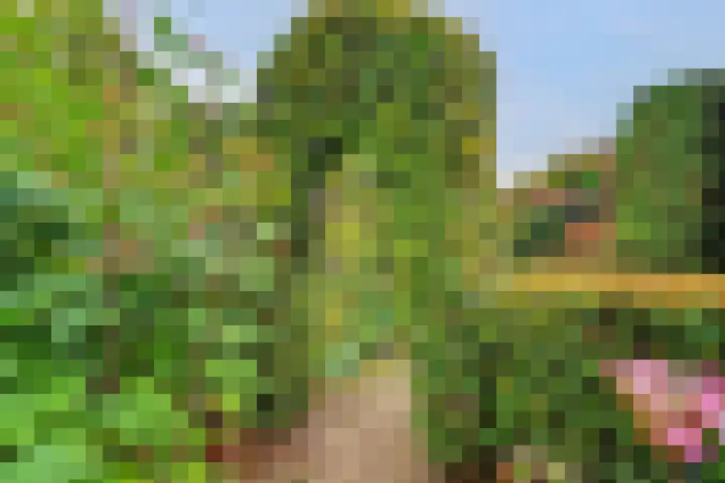 Ooievaarshoek 37 Hilvarenbeek thumbnail 32
