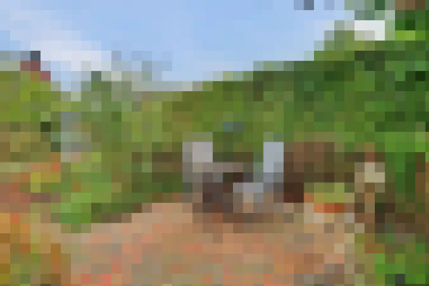 Ooievaarshoek 37 Hilvarenbeek thumbnail 34