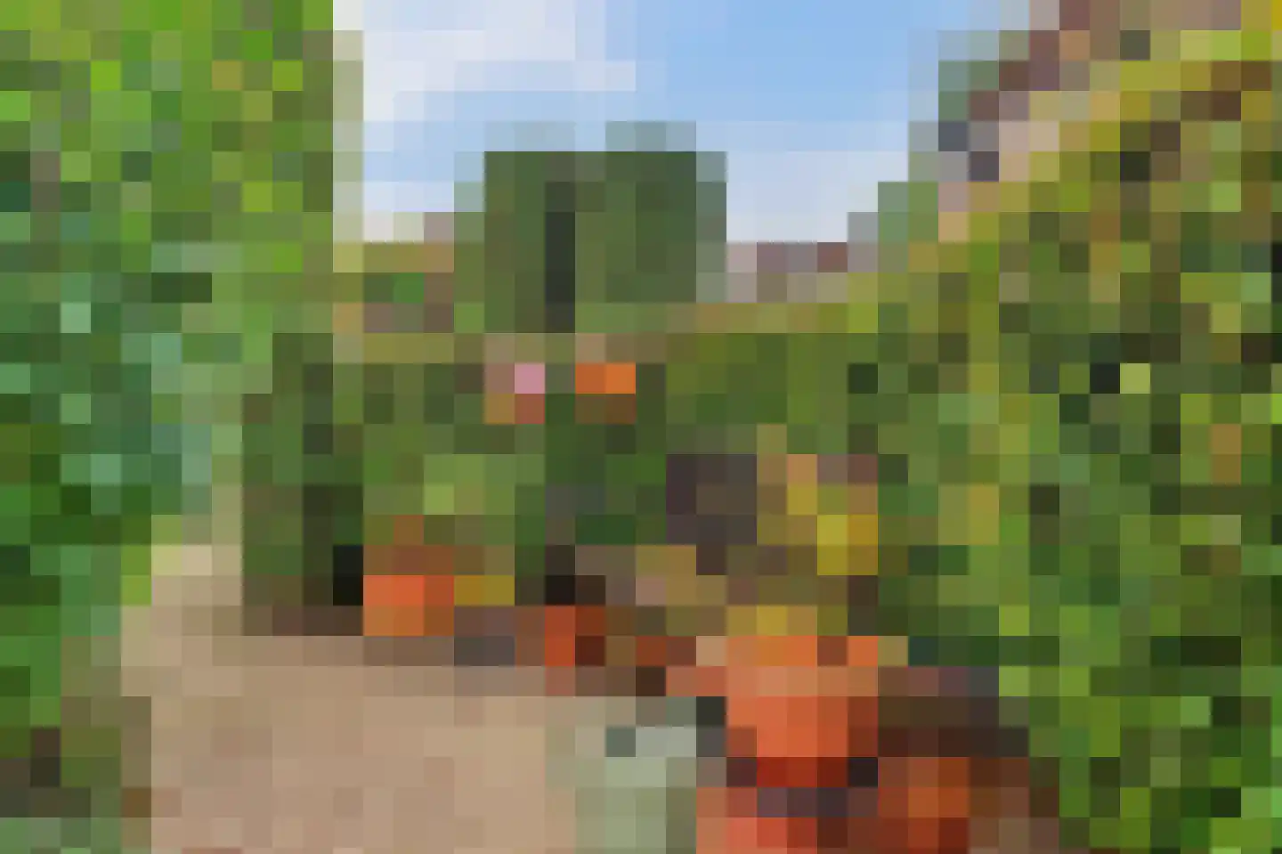 Ooievaarshoek 37 Hilvarenbeek thumbnail 35