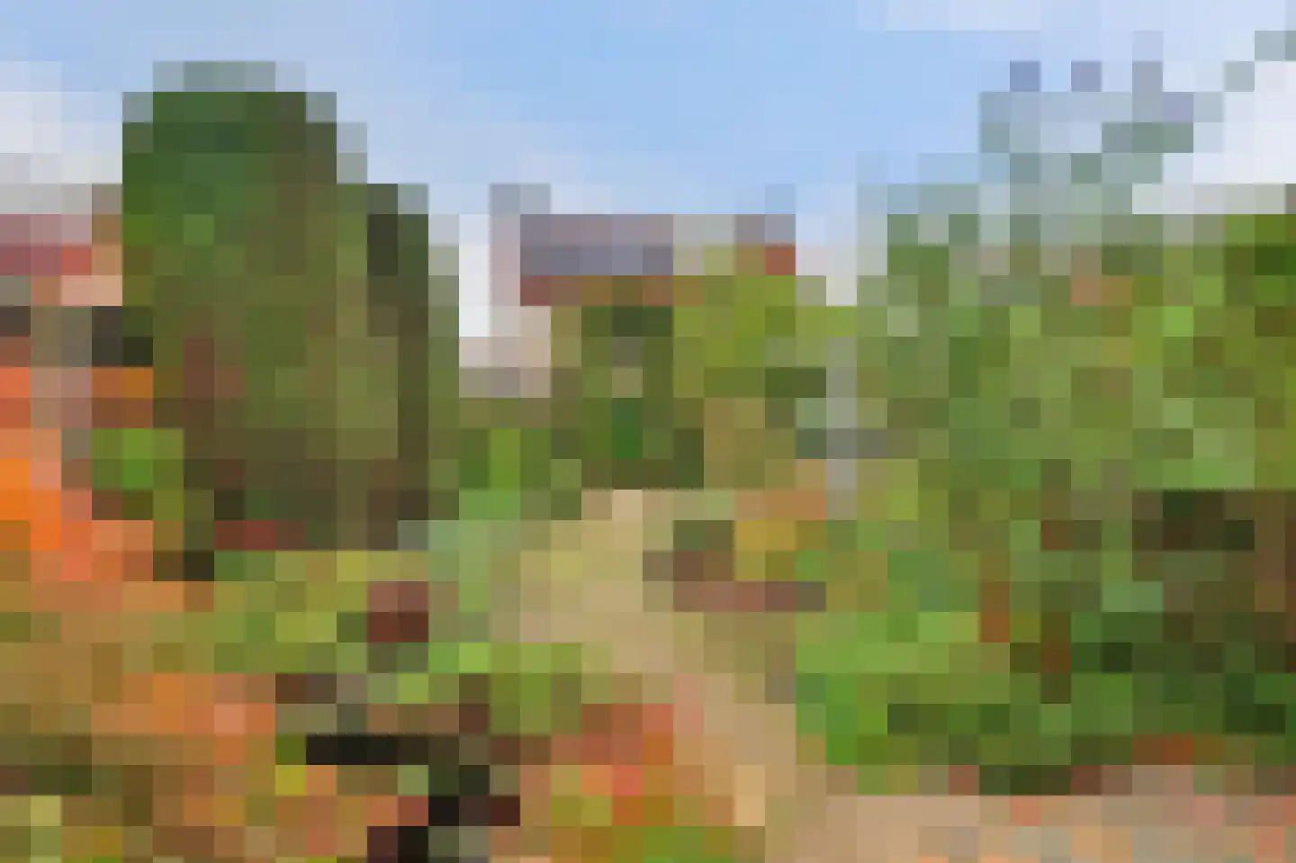 Ooievaarshoek 37 Hilvarenbeek thumbnail 4