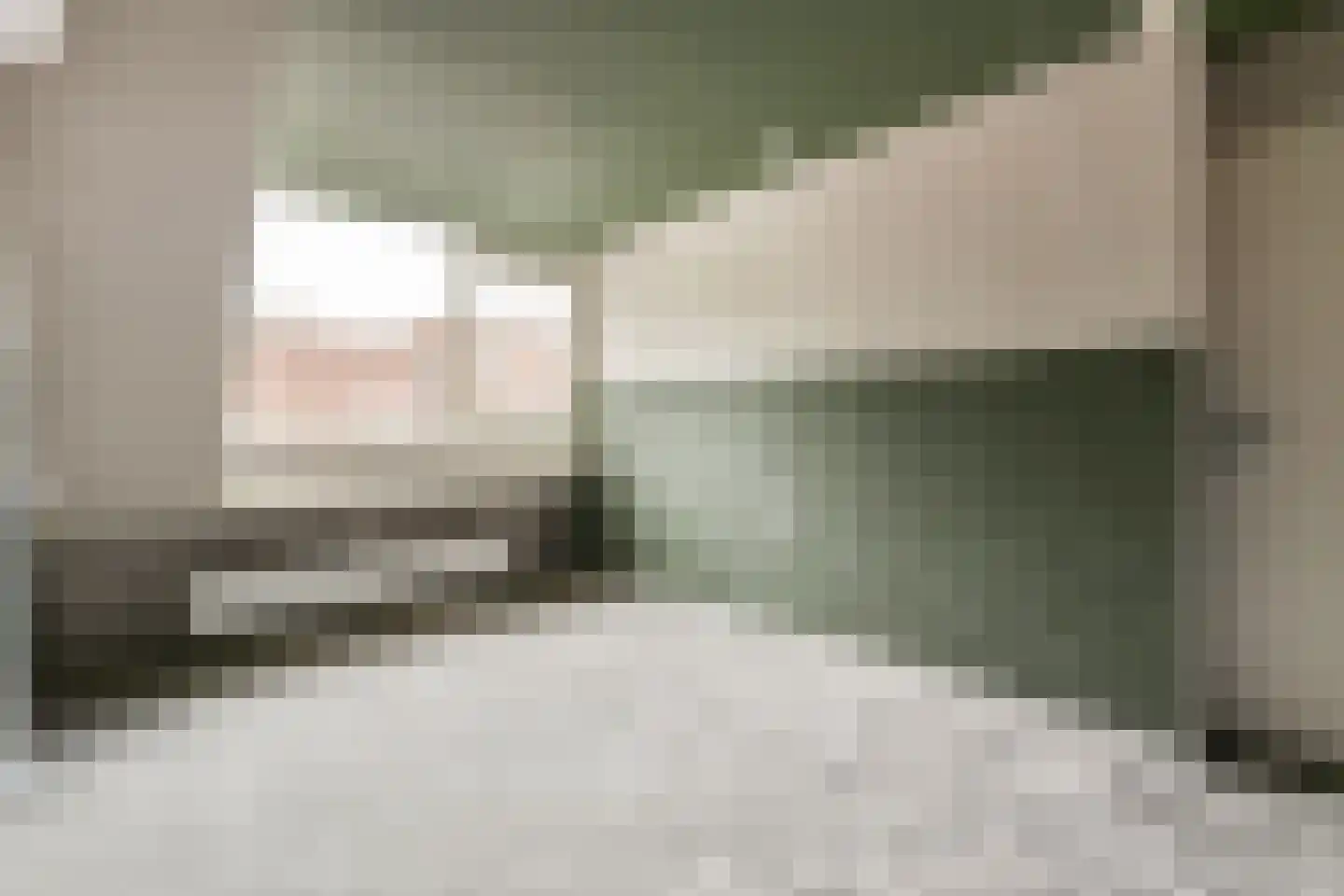 Ooievaarshoek 8 Spijkenisse thumbnail 10