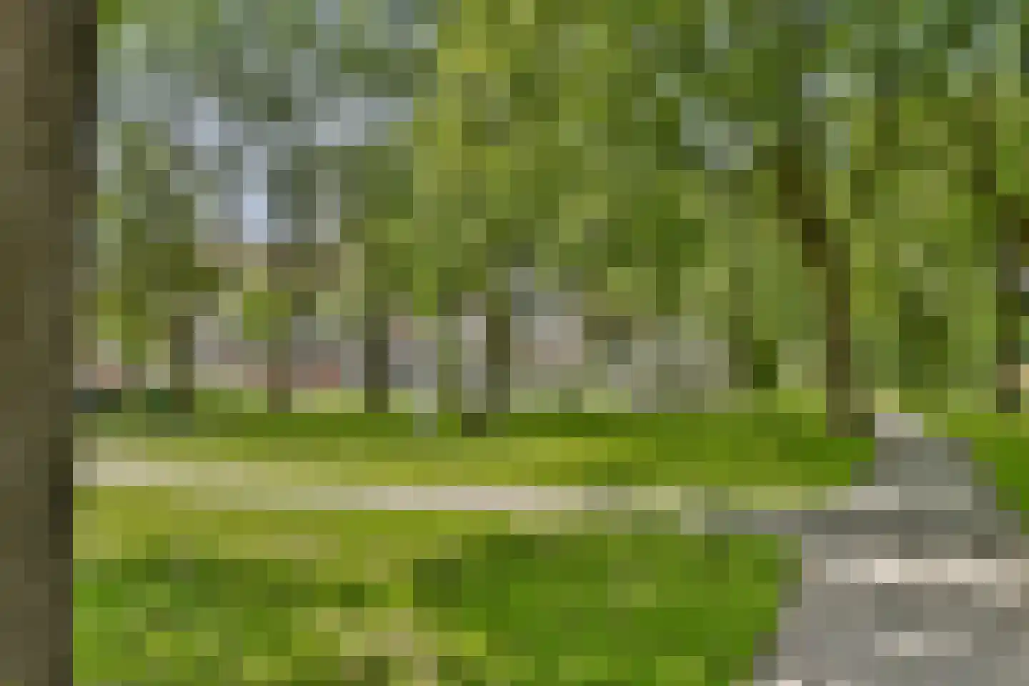 Ooievaarshoek 8 Spijkenisse thumbnail 24