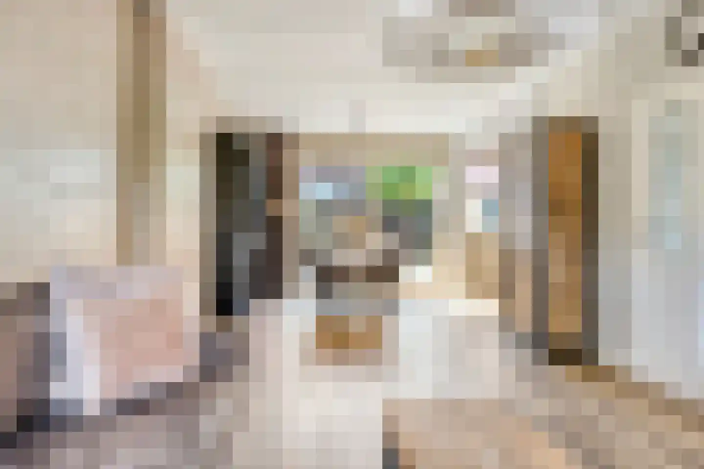 Ooievaarshof 17 Kollum thumbnail 14