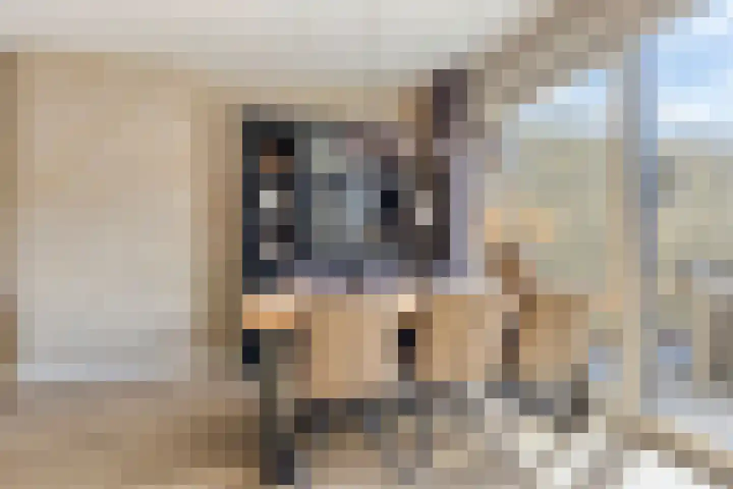 Ooievaarshof 17 Kollum thumbnail 17